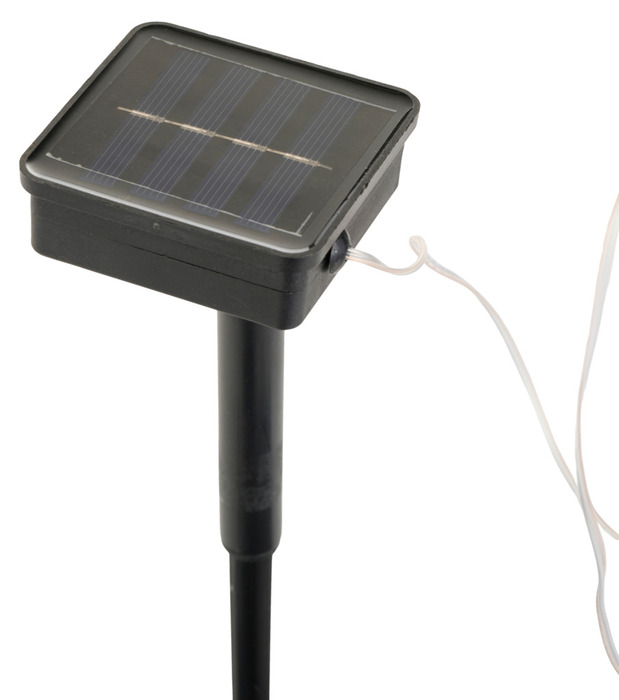 Solcelleblomst Solsikke – Garden